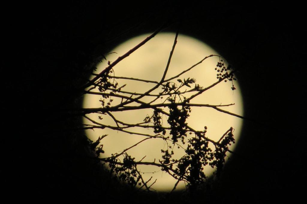 Pousada Luna Zen Pirenópolis المظهر الخارجي الصورة
